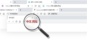 中文域名注册注意事项和申请资料